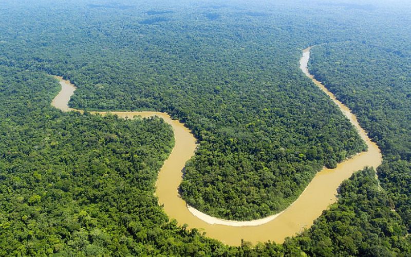 Rio Purus Volta a Encher em Dezembro, Aliviando Comunidades e Revitalizando o Acesso Fluvial